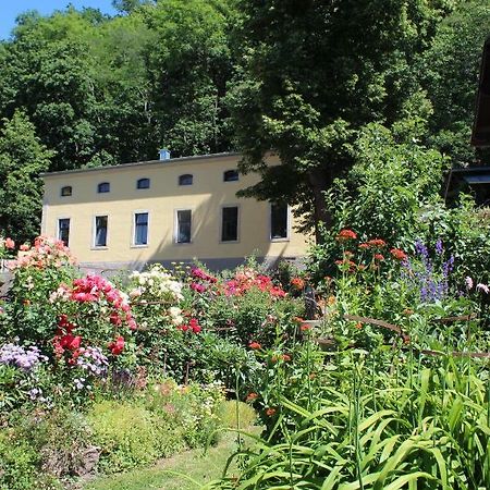 Ferienwohnung Goldgrund Мейсен Экстерьер фото