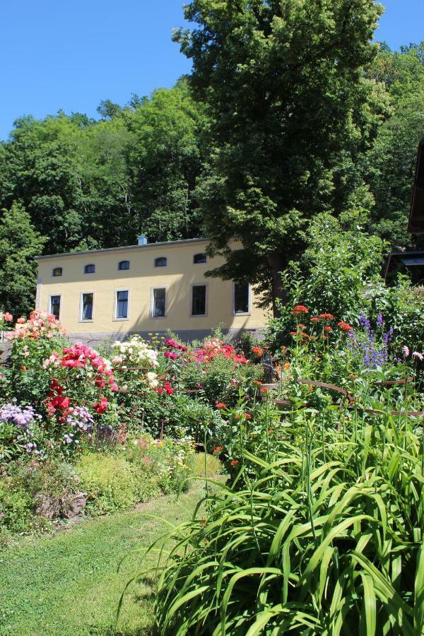 Ferienwohnung Goldgrund Мейсен Экстерьер фото